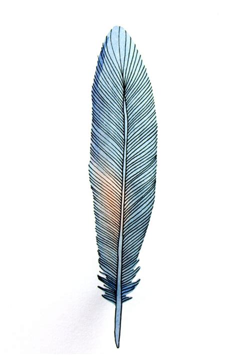 17 Best images about Feather art on Pinterest | Feather painting ...