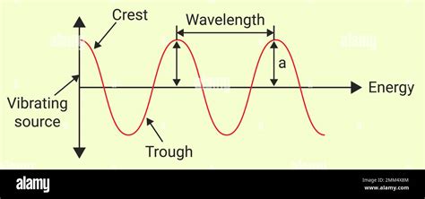 The Characteristics of wave: amplitude, wavelength, frequency, and ...