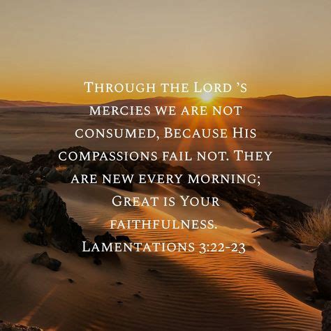 Verse of the Day Lamentations 3:22‭-‬23 (NKJV) https://bible.com/bible ...