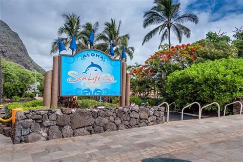 Sea Life Park Hawaii Admission Tickets 2020 - Oahu