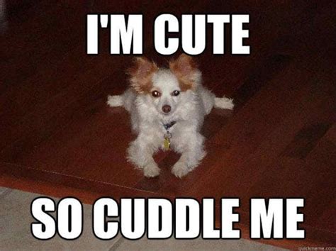 25 Cutest Cuddle Memes - SayingImages.com