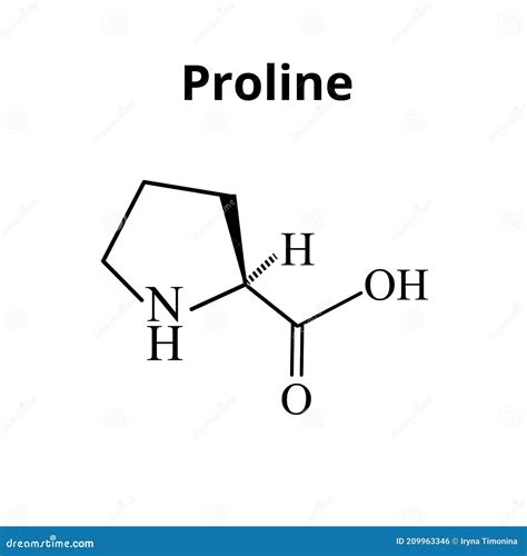 Amino Acid Proline. Chemical Molecular Formula Proline Amino Acid ...