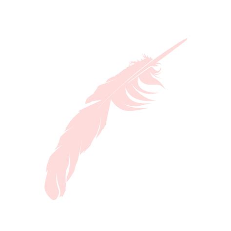 Illustration Vector Graphic of Feather 10597045 Vector Art at Vecteezy