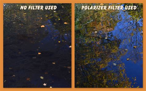 What is a Circular Polarizer Filter? Why Do I Need One? | PhotoTipster.com