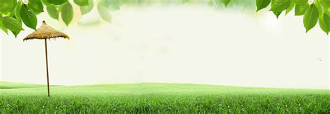 Green Nature Banner Background, Green, Natural, Leaves Background Image ...