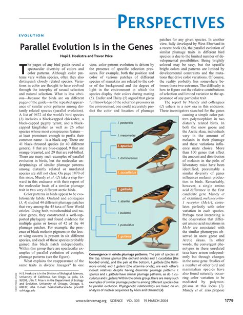 (PDF) Parallel Evolution Is in the Genes