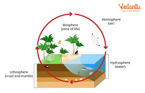 Biosphere | Learn Important Terms and Concepts