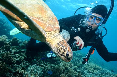 Diving the Great Barrier Reef – Stephen's Travels