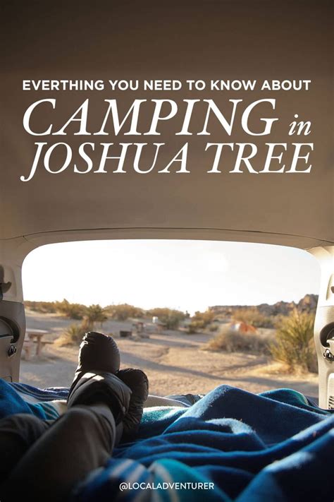 Joshua Tree Camping - What You Need to Know » Local Adventurer