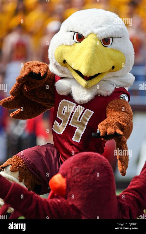 Boston college eagles mascot hi-res stock photography and images - Alamy