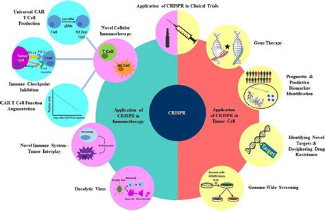 Frontiers | CRISPR/Cas: From Tumor Gene Editing to T Cell-Based ...