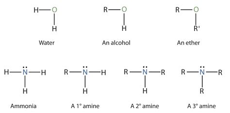 Amines: Structures and Names