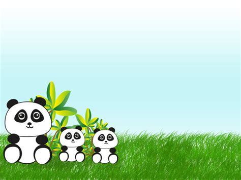 Panda Bear in China Backgrounds | Animals, Green, Grey, White Templates ...