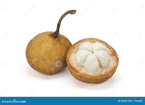 Santol fruit stock photo. Image of macro, isolated, orchard - 26557734