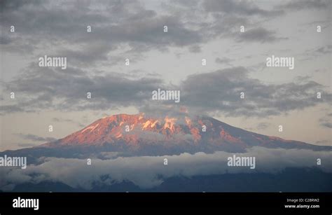 Sunset landscape with trees and Mount Kilimanjaro, Amboseli National ...