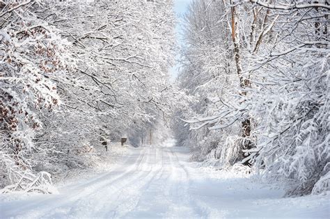 Michigan Nut Photography | Winter in Michigan