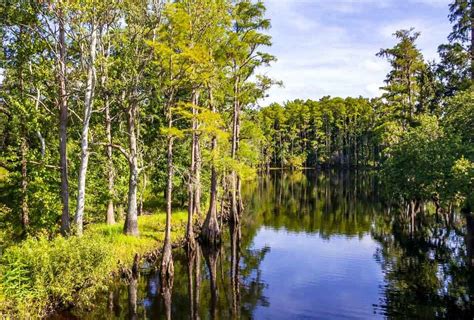 Osceola County Weather: Tuesday Will Bring Warm Temperatures with ...