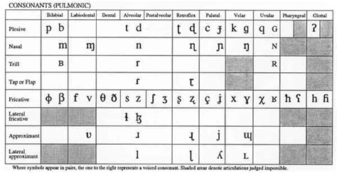 IPA consonant chart