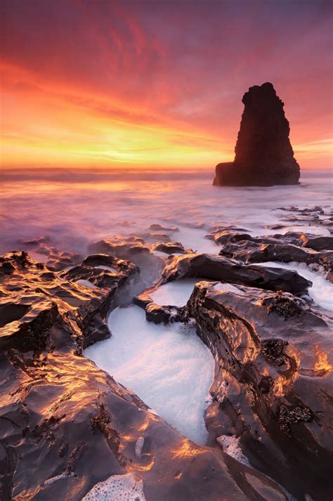 Davenport, California | Davenport beach, Beautiful places, Places to go