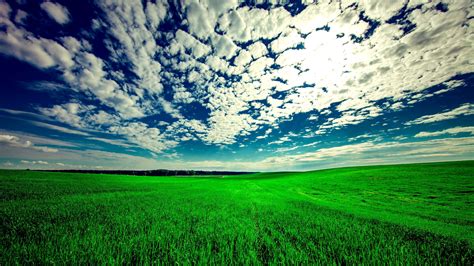 Grassland Wallpaper - MAXIPX