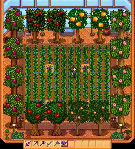 Best stardew valley greenhouse layout - portkool