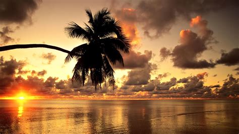 Hawaii, Beach, Sunset, Landscape, Clouds, Nature, Photography, Palm ...