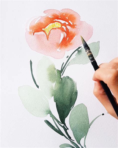 Pivoines à l'aquarelle | Tutoriels aquarelles, Aquarelle et encre, Fleurs