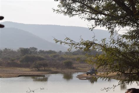 » Exploring Wildlife at Sariska National Park