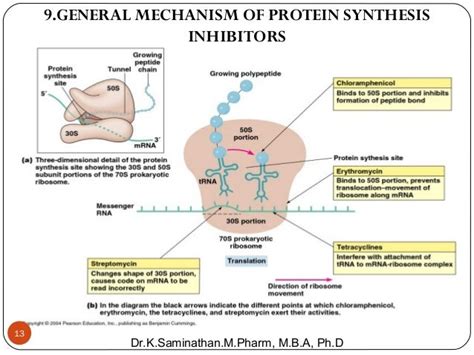 3. ANTIBIOTIC (PROTEIN SYNTHESIS INHIBITORS)