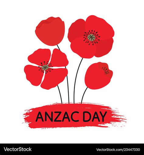 Anzac day bouquet of poppy flowers Royalty Free Vector Image