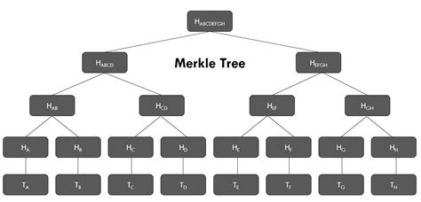 Understanding Merkle Tree & Its Importance In Blockchain – Forex Academy