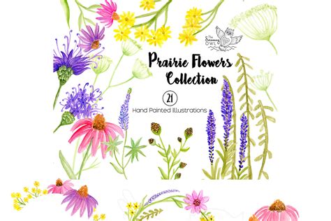 Prairie Flowers Watercolor Clipart | Custom-Designed Illustrations ...