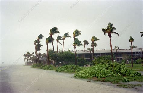 Damage by Hurricane Georges - Stock Image - E158/0219 - Science Photo ...