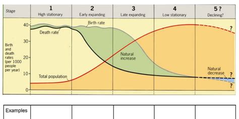 Demographic transition model - GEOGRAPHY MYP/GCSE/DP