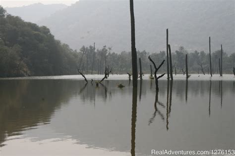 Sariska National Park, Alwar, India Wildlife & Safari Tours ...