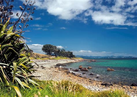 Thames & Kauaeranga Valley, New Zealand | Audley Travel