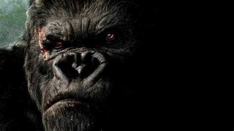 Angry Gorilla Wallpapers - Wallpaper Cave