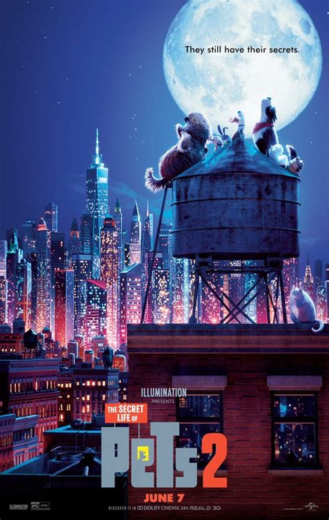 Adventurous Final Trailer for Illumination's 'The Secret Life of Pets 2 ...