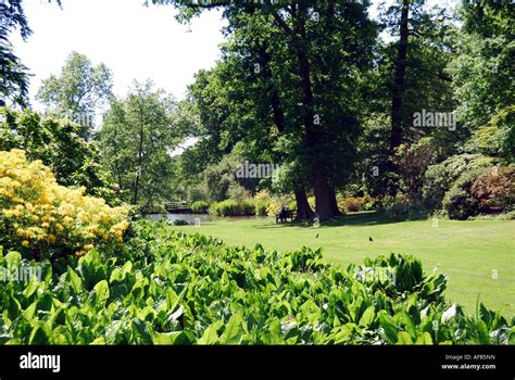 Savill garden windsor great park hi-res stock photography and images ...