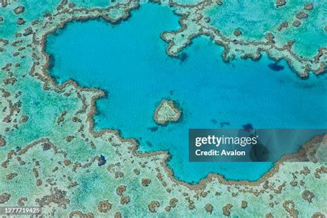 Aerial view of Heart Reef. part of Great Barrier Reef. Queensland ...