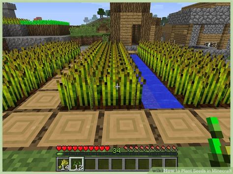 4 Ways to Plant Seeds in Minecraft - wikiHow