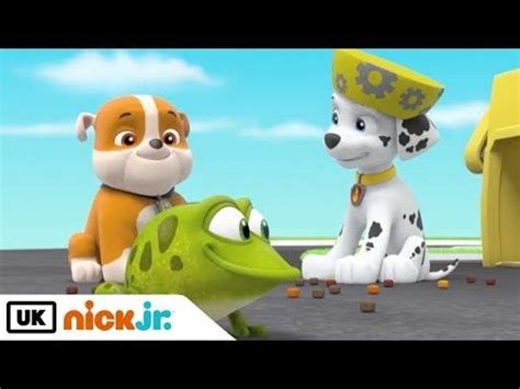 Paw Patrol | Pups Save a Flying Frog | Nick Jr. UK - YouTube | Paw ...