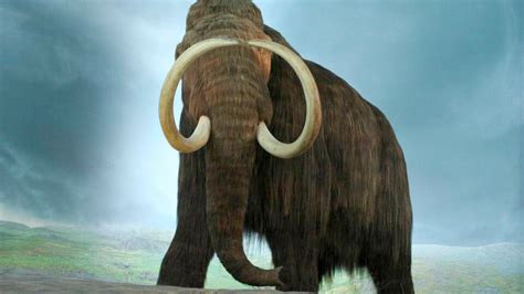 Intentan resucitar al extinto mamut lanudo | Gracias a la ingenieria ...