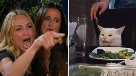 What is the Cat Meme? The 'Woman Yells At Cat' Meme, Explained