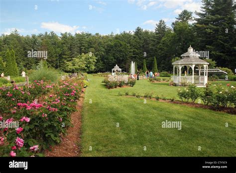 Rose garden stanley park westfield hi-res stock photography and images ...