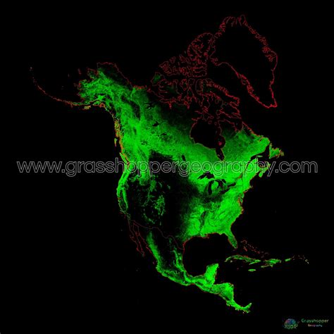 North America - Forest cover map - Fine Art Print – Grasshopper Geography