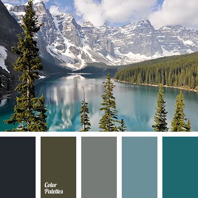 graphite grey color | Color Palette Ideas