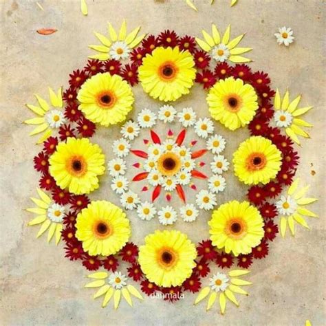 15 Beautiful & Colorful Flower Rangoli Designs Ideas For Pongal 2020 ...