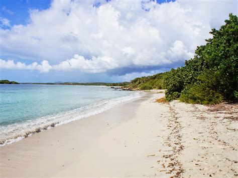 Vieques, Puerto Rico Beach Guide : TravelChannel.com | Travel Channel