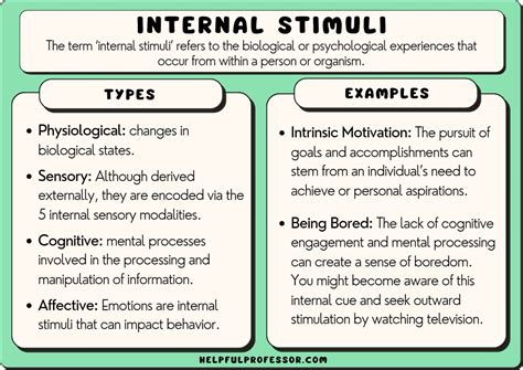 Internal Stimuli: Examples and Definition (2024)